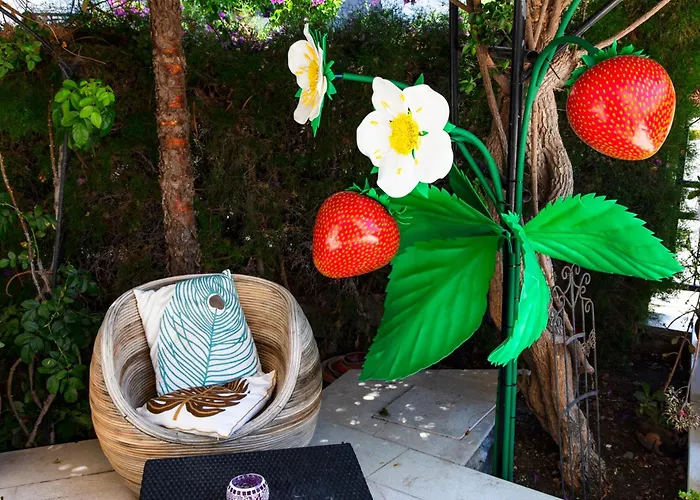 بيت شباب Enter *