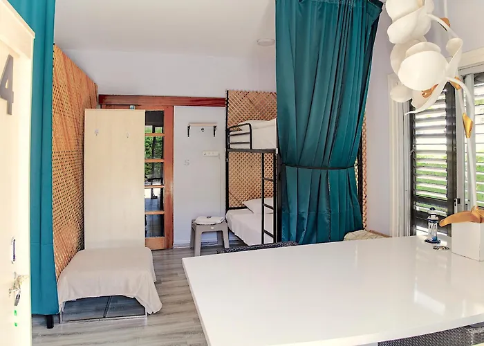 Enter بيت شباب